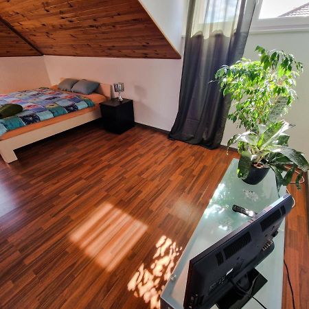 Beautiful Aparment Next To The Border 4 Room Saint-Louis  Eksteriør billede