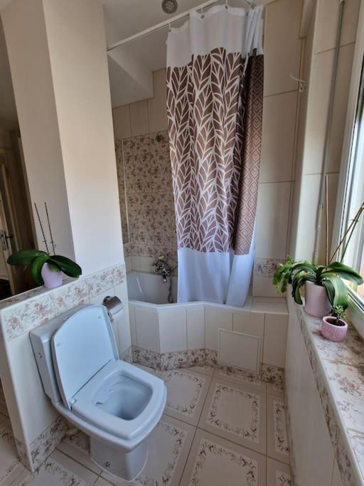 Beautiful Aparment Next To The Border 4 Room Saint-Louis  Eksteriør billede