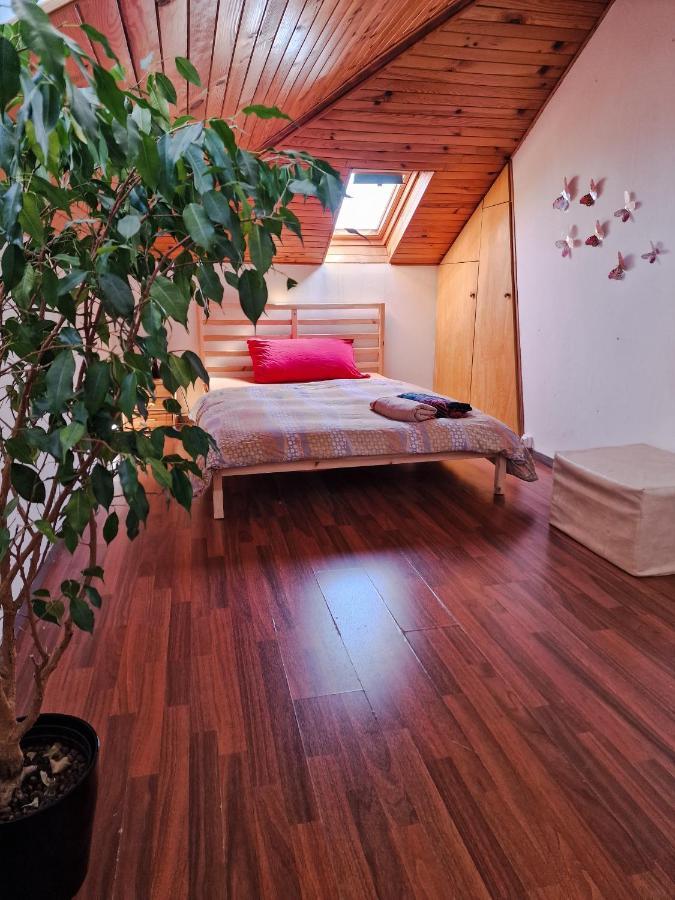 Beautiful Aparment Next To The Border 4 Room Saint-Louis  Eksteriør billede